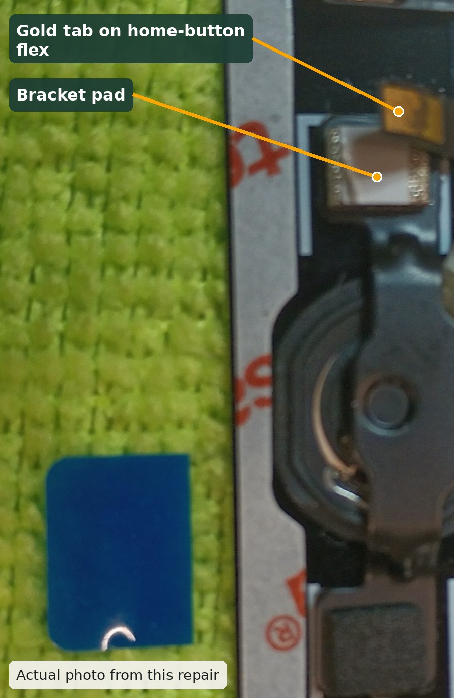 Close-up photo from this repair showing the original iPad Touch ID home-button flex, its small gold metal-contact tab, and the bracket pad on the replacement digitizer.